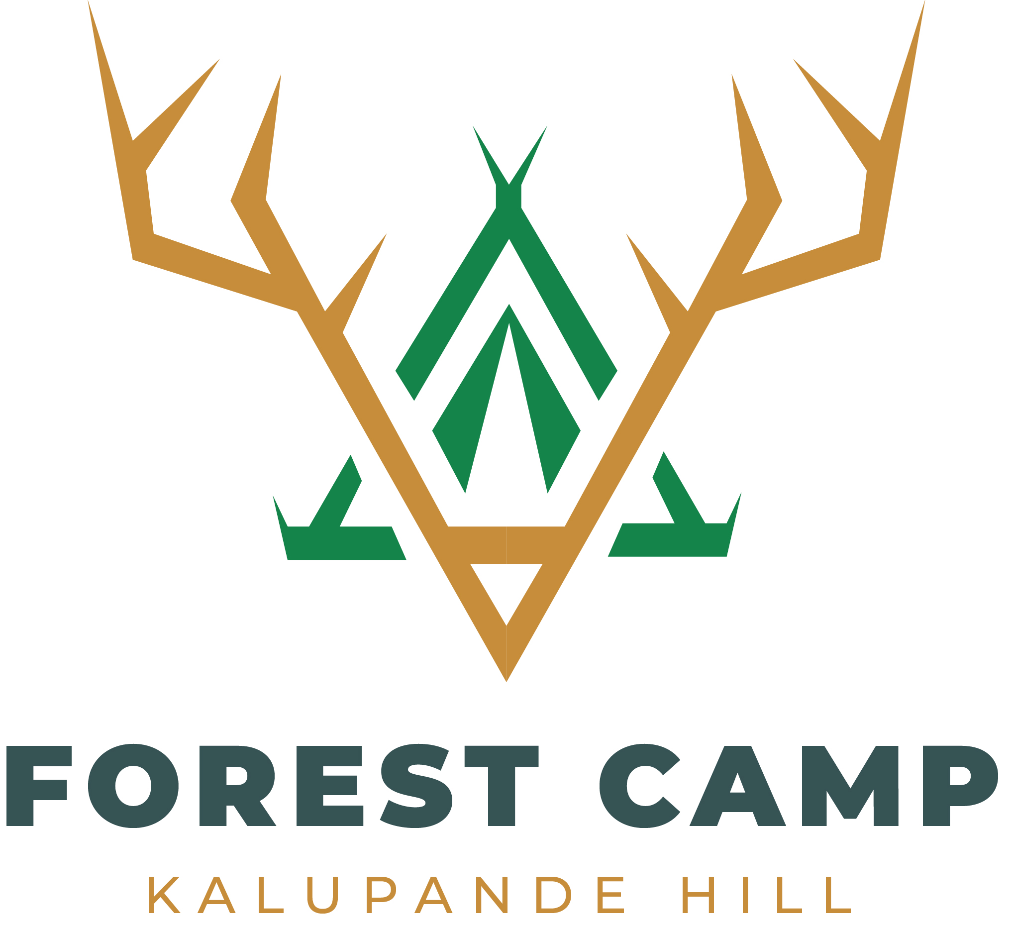 Forest camp Kalupande Hill