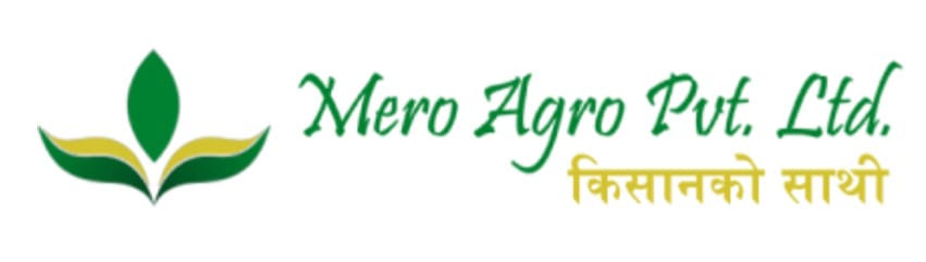 Company job openings in Nepal