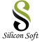 Silicon Soft & IT Consultant