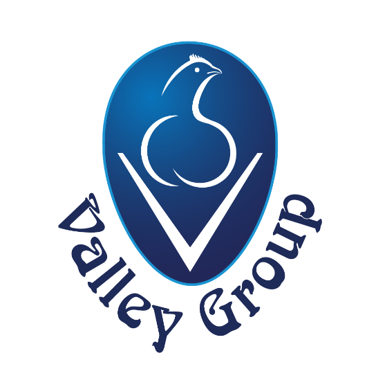 Valley Group