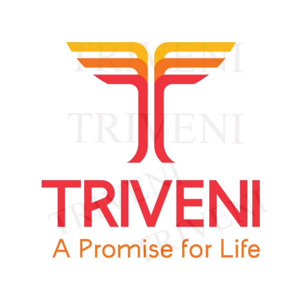 Triveni Group job openings in nepal