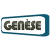 Genese Solution Pvt Ltd